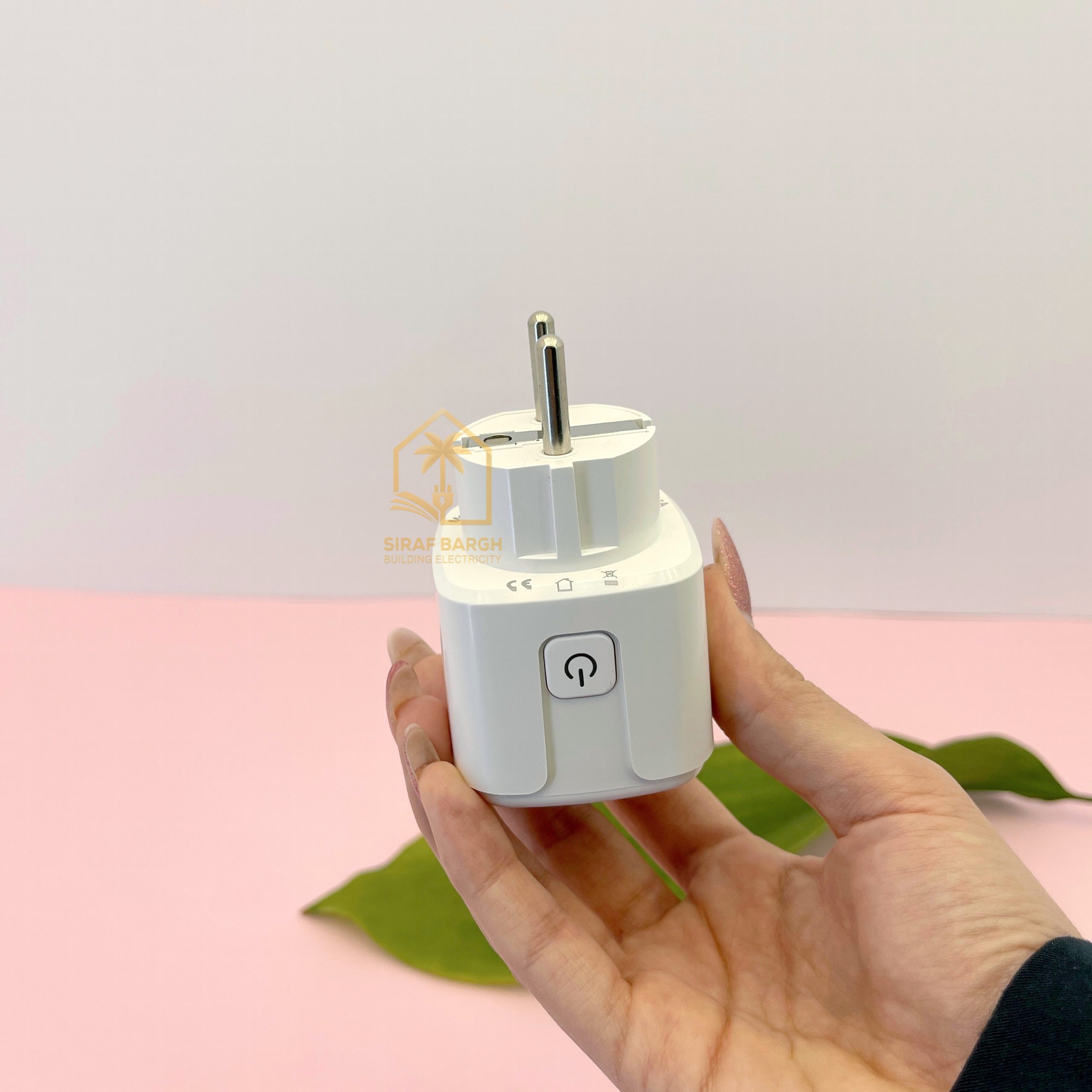 پریز هوشمند دوشاخه دار 16 آمپر تویا Tuya - تصویر 2